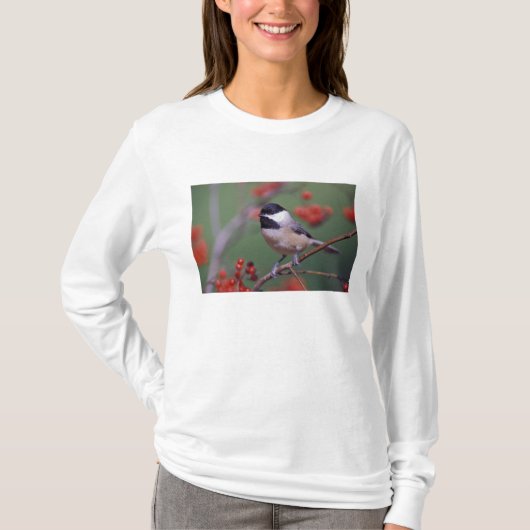 Carolina Chickadee T-Shirt (Vorderseite)
