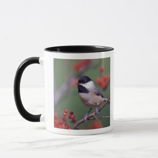 Carolina Chickadee Tasse (Links)