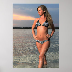Carolina Coastal Beauties: 2013 Kalenderposter E Poster