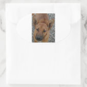 Carolina dog.png ovaler aufkleber (Tasche)