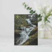 Carolina Foto Locarno Postkarte (Stehend Vorderseite)