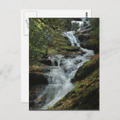 Carolina Foto Locarno Postkarte (Vorne/Hinten)