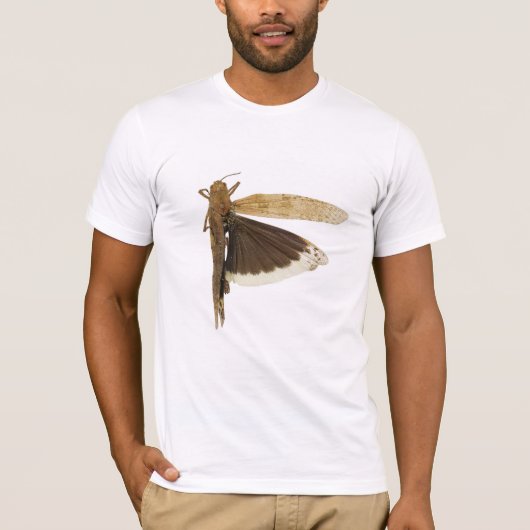 Carolina Grasshopper T-Shirt (Vorderseite)