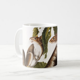 Carolina-Grauhörnchen (Sciurus Carolinensis) Kaffeetasse