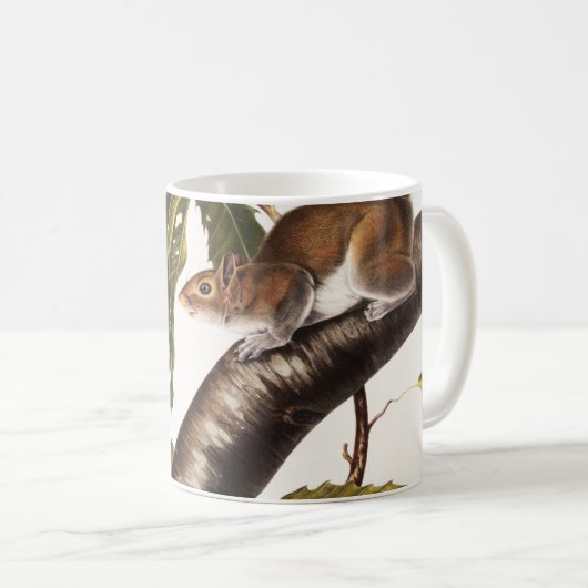 Carolina Gray Eichhörnchen (Sciurus Carolinensis) Kaffeetasse (VorderseiteRechts)