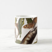 Carolina Gray Eichhörnchen (Sciurus Carolinensis) Kaffeetasse (Mittel)