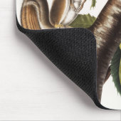 Carolina Gray Eichhörnchen (Sciurus Carolinensis) Mousepad (Ecke)