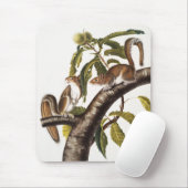 Carolina Gray Eichhörnchen (Sciurus Carolinensis) Mousepad (Mit Mouse)