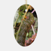 Carolina Hornworm ~ Verzierung Keramikornament (Rechts)