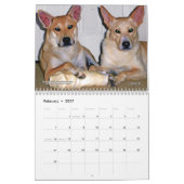 Carolina-Hundekalender 2013 Kalender (Feb 2027)