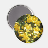 Carolina Jasmine Magnet (Vorderseite/Rückseite)