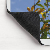 Carolina Jasmine Mousepad (Ecke)