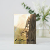 Carolina Mantis Postkarte (Stehend Vorderseite)