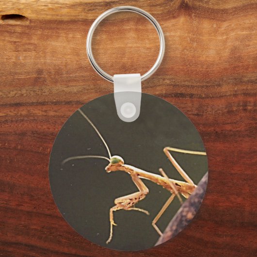 Carolina Mantis Schlüsselanhänger (Vorderseite)