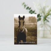 Carolina Marsh Tacky Horse Postkarte (Stehend Vorderseite)