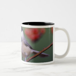 Carolina-Meise Zweifarbige Tasse