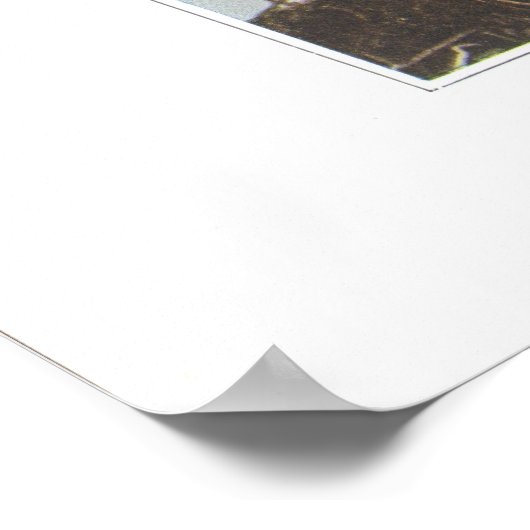 Carolina oder weitläufige Frühlingshauty Poster (Ecke)