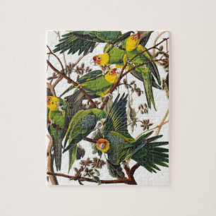 Carolina-Papagei - John James Audubon (1827-1838) Puzzle