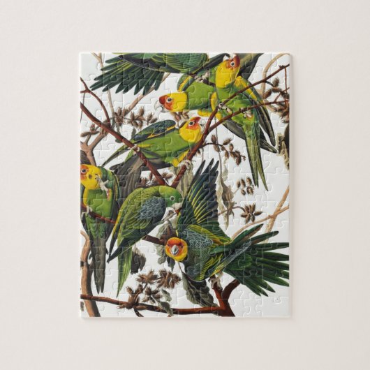 Carolina-Papagei - John James Audubon (1827-1838) Puzzle (Vertikal)