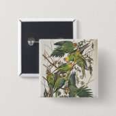 Carolina Parakeet, aus "Birds of America", 1829 Button (Vorne & Hinten)