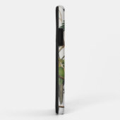 Carolina Parakeet, aus "Birds of America", 1829 Case-Mate iPhone Hülle (Hinten/Rechts)