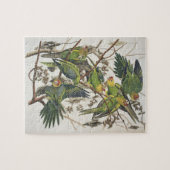 Carolina Parakeet, aus "Birds of America", 1829 Puzzle (Horizontal)