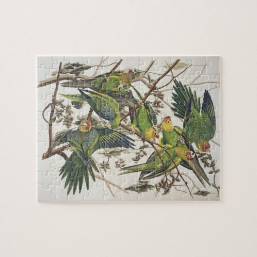 Carolina Parakeet, aus "Birds of America", 1829 Puzzle (Horizontal)