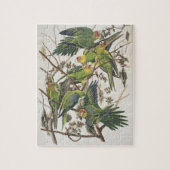 Carolina Parakeet, aus "Birds of America", 1829 Puzzle (Vertikal)