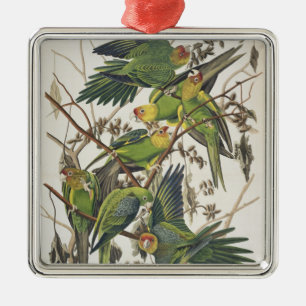 Carolina Parakeet, aus "Birds of America", 1829 Silbernes Ornament