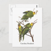 Carolina Parakeet, John Audubon Postkarte (Vorne/Hinten)