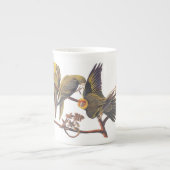 Carolina Parakeet Trio Porzellantasse (Vorderseite)