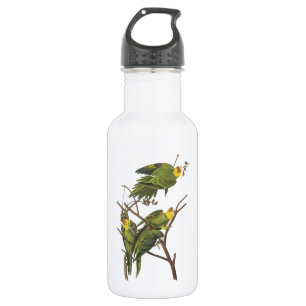 Carolina Parakeet von Audubon Trinkflasche