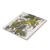 Carolina Parrot, John James Audubon - ,(1827-1838) Fliese (Seite)