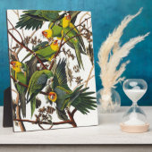 Carolina Parrot - John James Audubon (1827-1838) Fotoplatte (Seite)