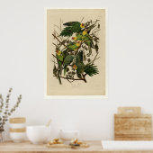 Carolina Parrot Poster (Küche)