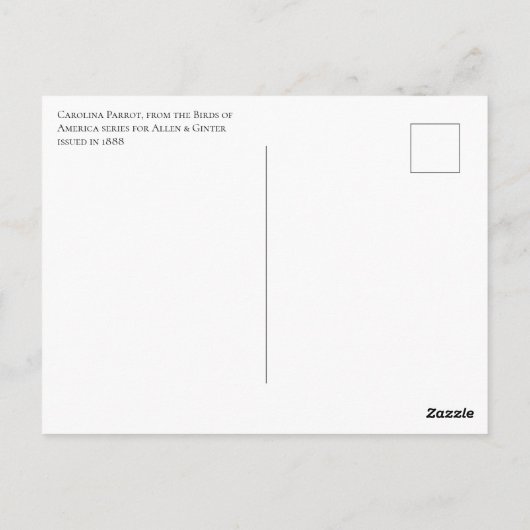 Carolina Parrot Postkarte (Rückseite)