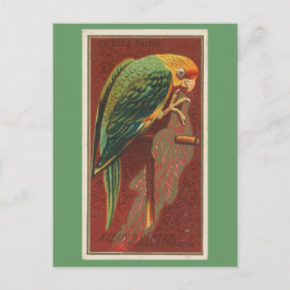 Carolina Parrot Postkarte