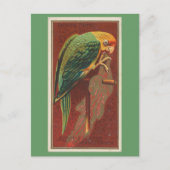 Carolina Parrot Postkarte (Vorderseite)