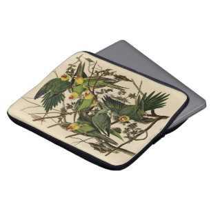 Carolina Parrot von Audubons Vögeln von Amerika Laptopschutzhülle