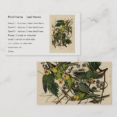 Carolina Parrot von Audubons Vögeln von Amerika Visitenkarte (Vorne/Hinten)