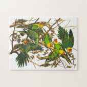 Carolina Parrot von John James Audubon Puzzle (Horizontal)