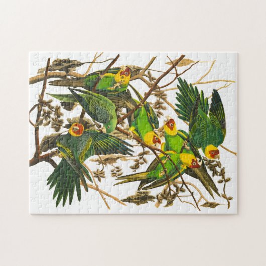 Carolina Parrot von John James Audubon Puzzle (Horizontal)