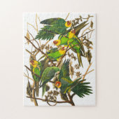 Carolina Parrot von John James Audubon Puzzle (Vertikal)