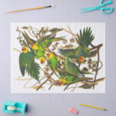 Carolina Parrot von John James Audubon Seidenpapier (Basteln)