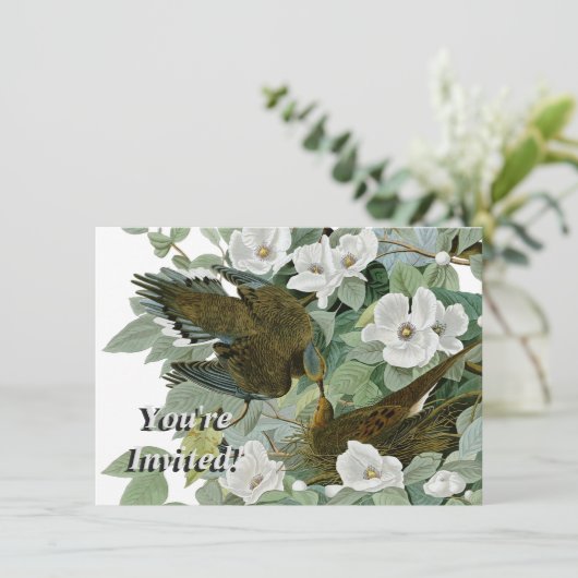 Carolina Pigeon Audubon Morning Dove Einladung (Stehend Vorderseite)