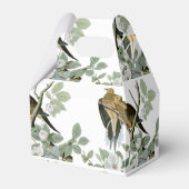 Carolina Pigeon Audubon Morning Dove Geschenkschachtel (Rückseite)