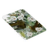 Carolina Pigeon Audubon Morning Dove Magnet (Rechte Seite)