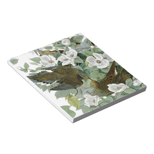 Carolina Pigeon Audubon Morning Dove Notizblock (angewinkelt)