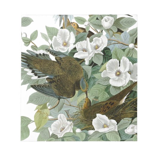 Carolina Pigeon Audubon Morning Dove Notizblock (Vorderseite)