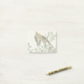 Carolina Pigeon Audubon Morning Dove Post-it Klebezettel (Auf Schreibtisch)